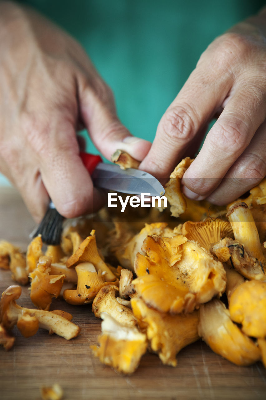 Close-up of woman preparing mushrooms, sweden