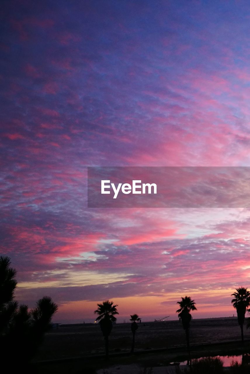 SCENIC VIEW OF SILHOUETTE TREES AGAINST SKY DURING SUNSET