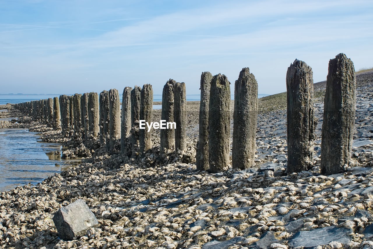PANORAMIC SHOT OF WOODEN POSTS ON BEACH