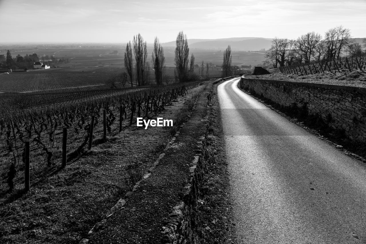 sky, plant, landscape, black and white, road, nature, transportation, land, environment, monochrome, field, black, monochrome photography, no people, scenics - nature, rural scene, the way forward, tranquility, rural area, agriculture, tree, tranquil scene, cloud, beauty in nature, diminishing perspective, growth, day, horizon, morning, outdoors, vanishing point, non-urban scene, farm, darkness