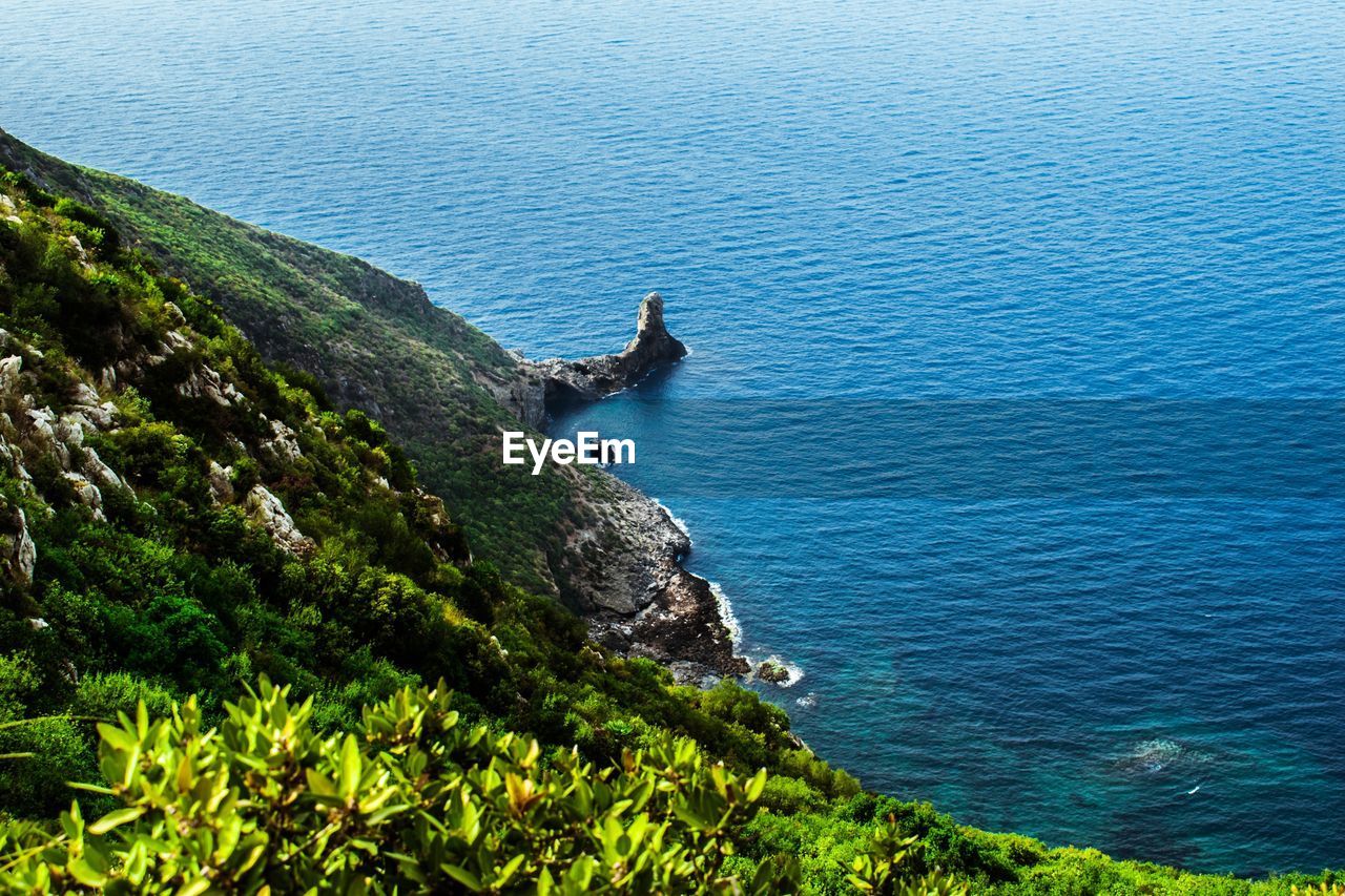 HIGH ANGLE VIEW OF BIRD ON SHORE