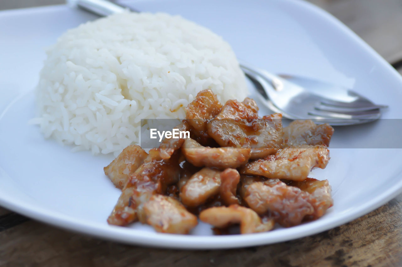 CLOSE-UP OF MEAL SERVED ON PLATE