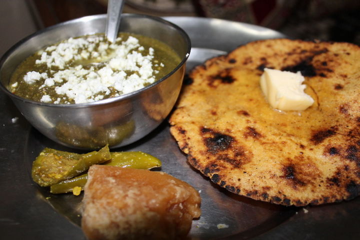 CLOSE-UP OF SERVED FOOD