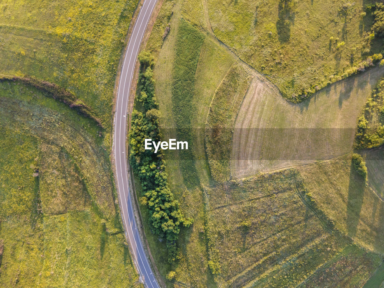 HIGH ANGLE VIEW OF AGRICULTURAL LAND