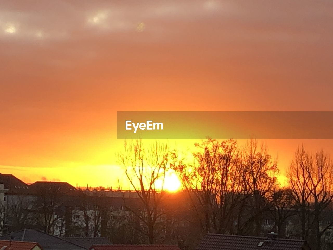 SILHOUETTE TREES AGAINST ORANGE SKY
