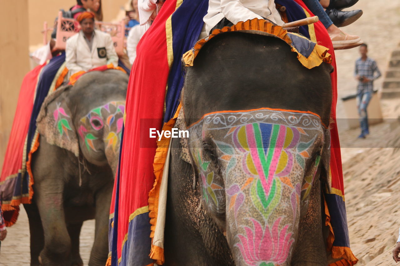 Low angle view of elephant on multi colored outdoors