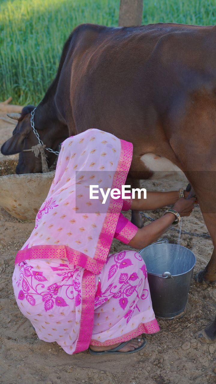 horse, one person, pink, women, adult, animal, animal themes, day, clothing, child, childhood, lifestyles, female, mammal, outdoors, nature, high angle view, leisure activity, domestic animals, casual clothing, livestock