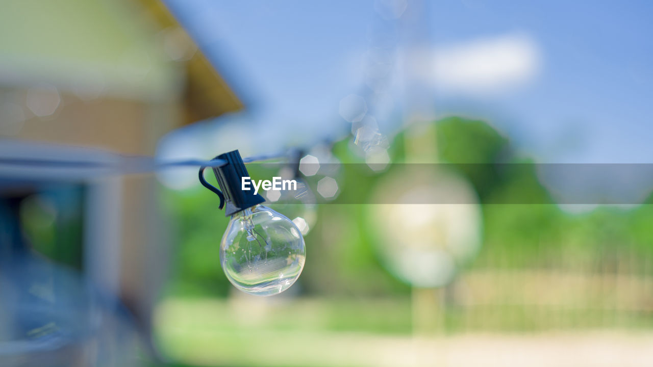 CLOSE-UP OF LIGHT BULBS HANGING ON FIELD