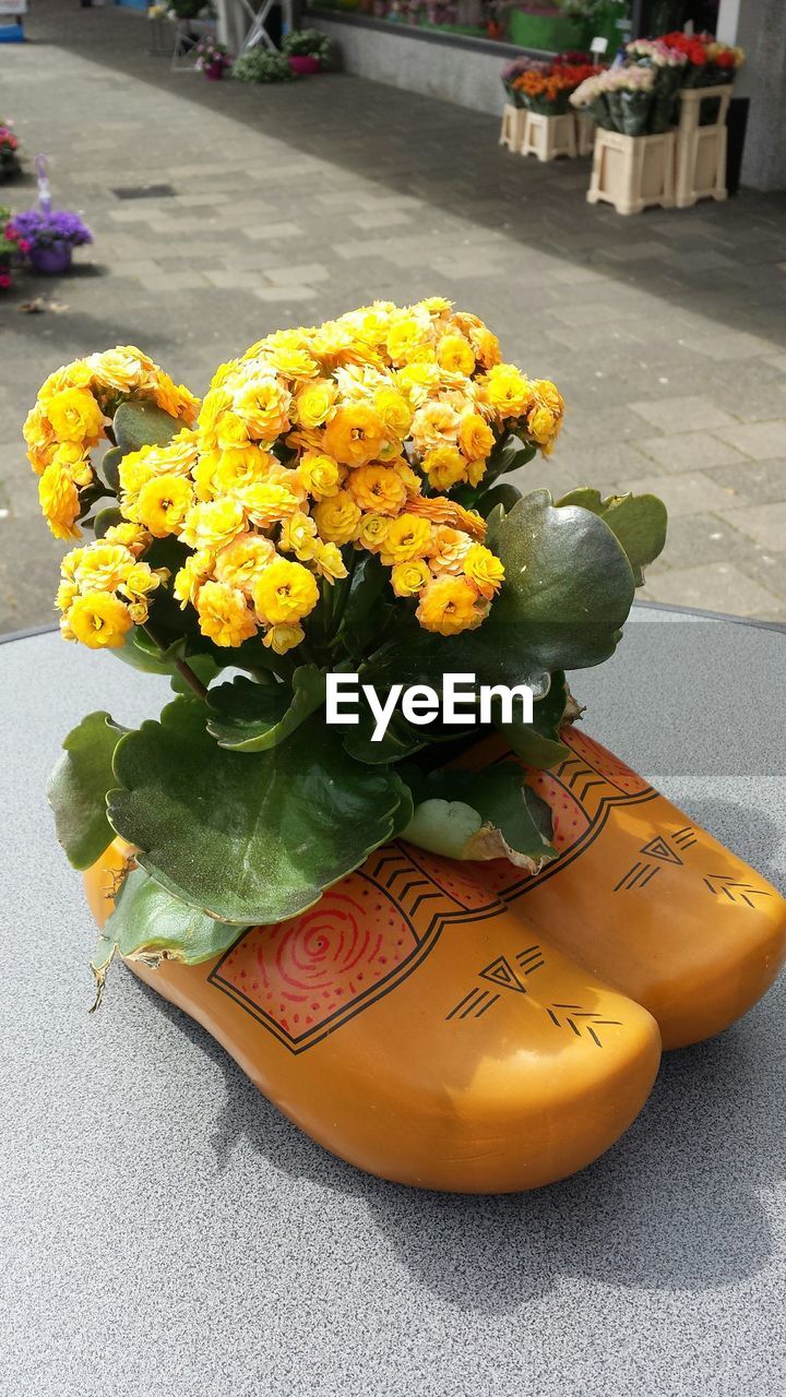 Close-up of yellow flowers in wooden shoe decoration at market