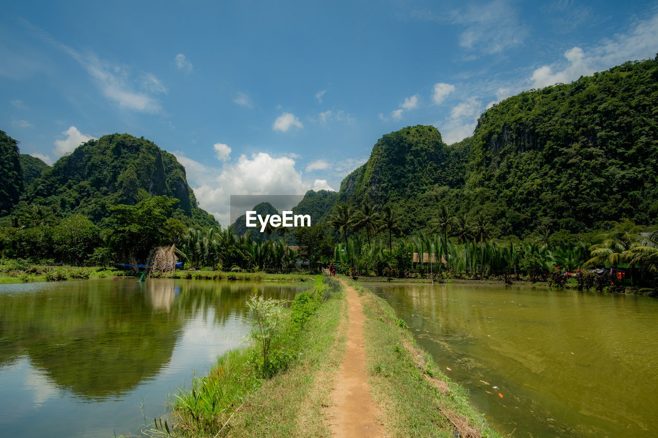 Scenic view of lake by trees against sky