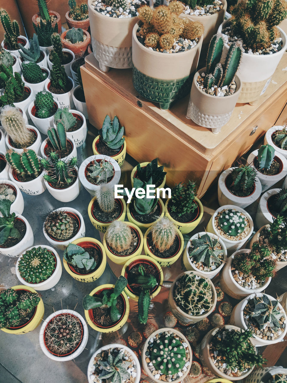 HIGH ANGLE VIEW OF POTTED PLANTS AT MARKET STALL