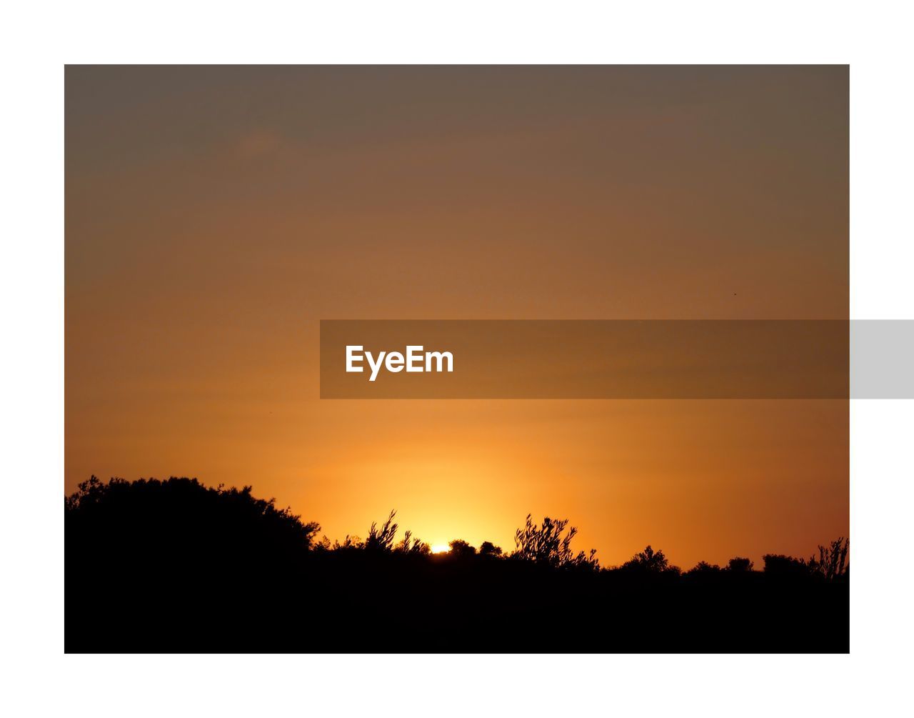 sunset, sky, silhouette, copy space, nature, tree, text, no people, orange color, plant, beauty in nature, tranquil scene, cut out, scenics - nature, tranquility, outdoors, font, landscape