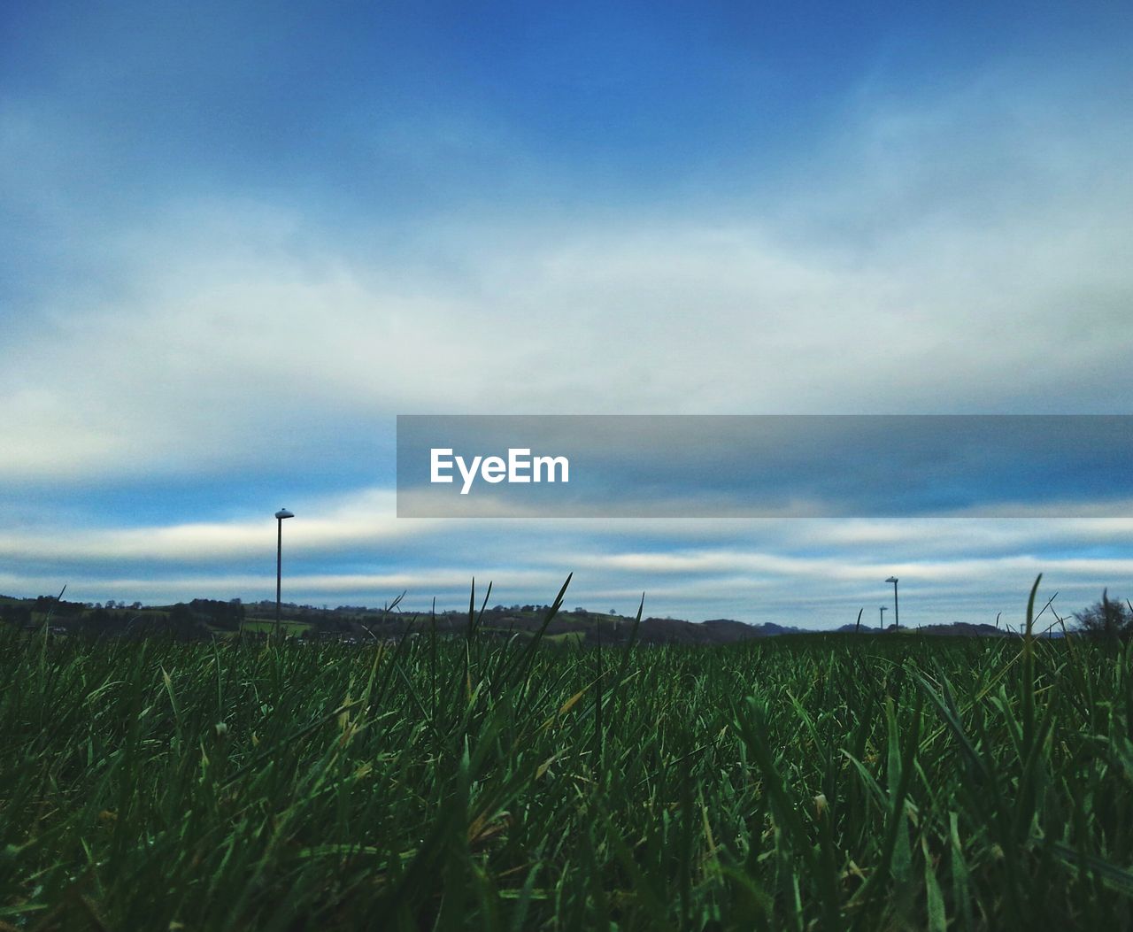 SCENIC VIEW OF GRASSY FIELD AGAINST SKY