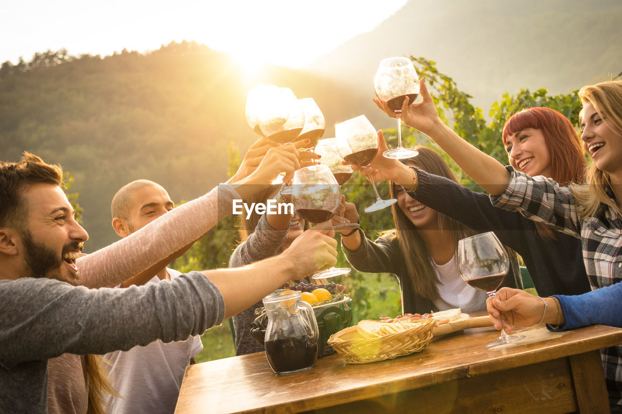 Friends toasting wineglasses during party