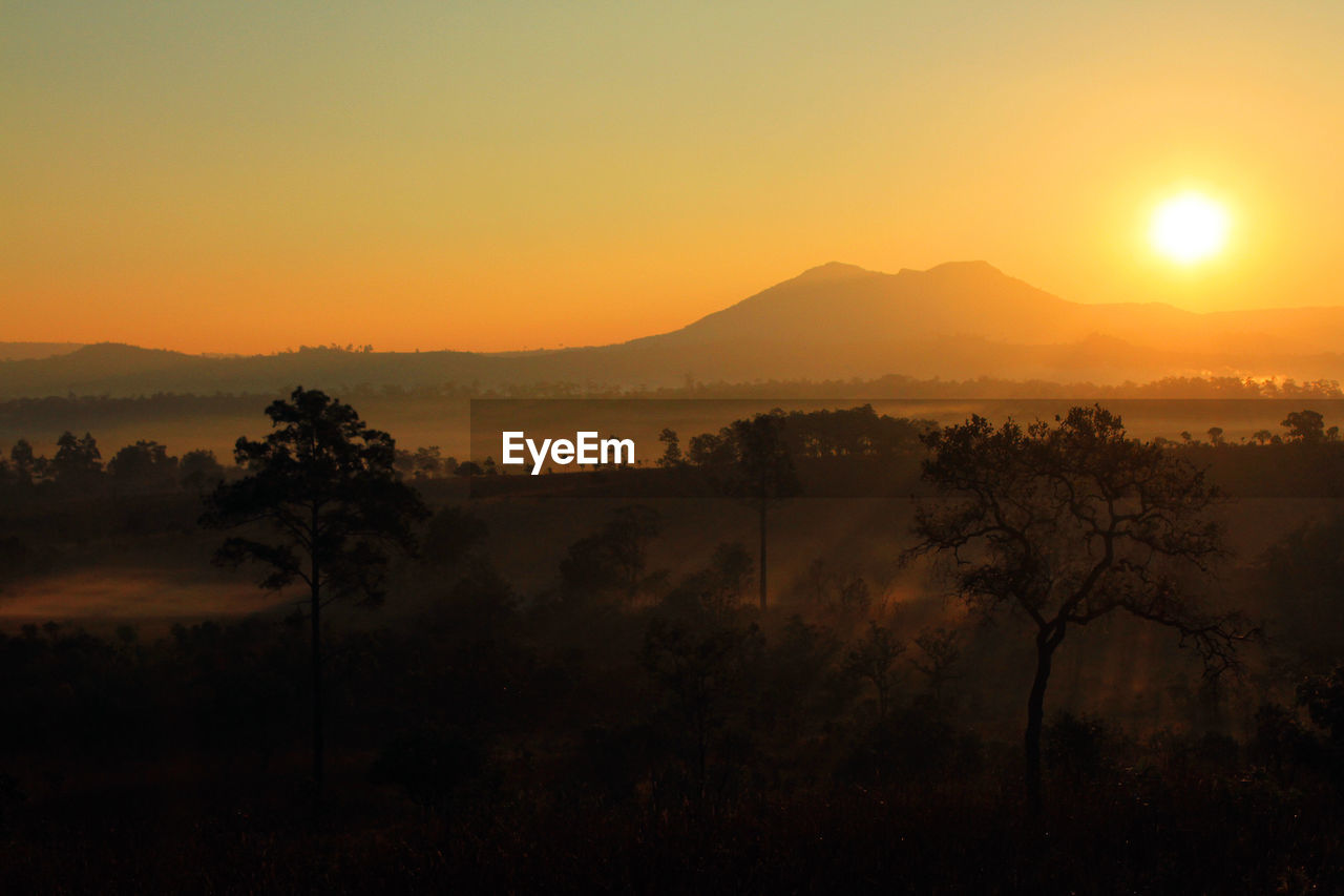 SCENIC VIEW OF LANDSCAPE AGAINST ORANGE SKY