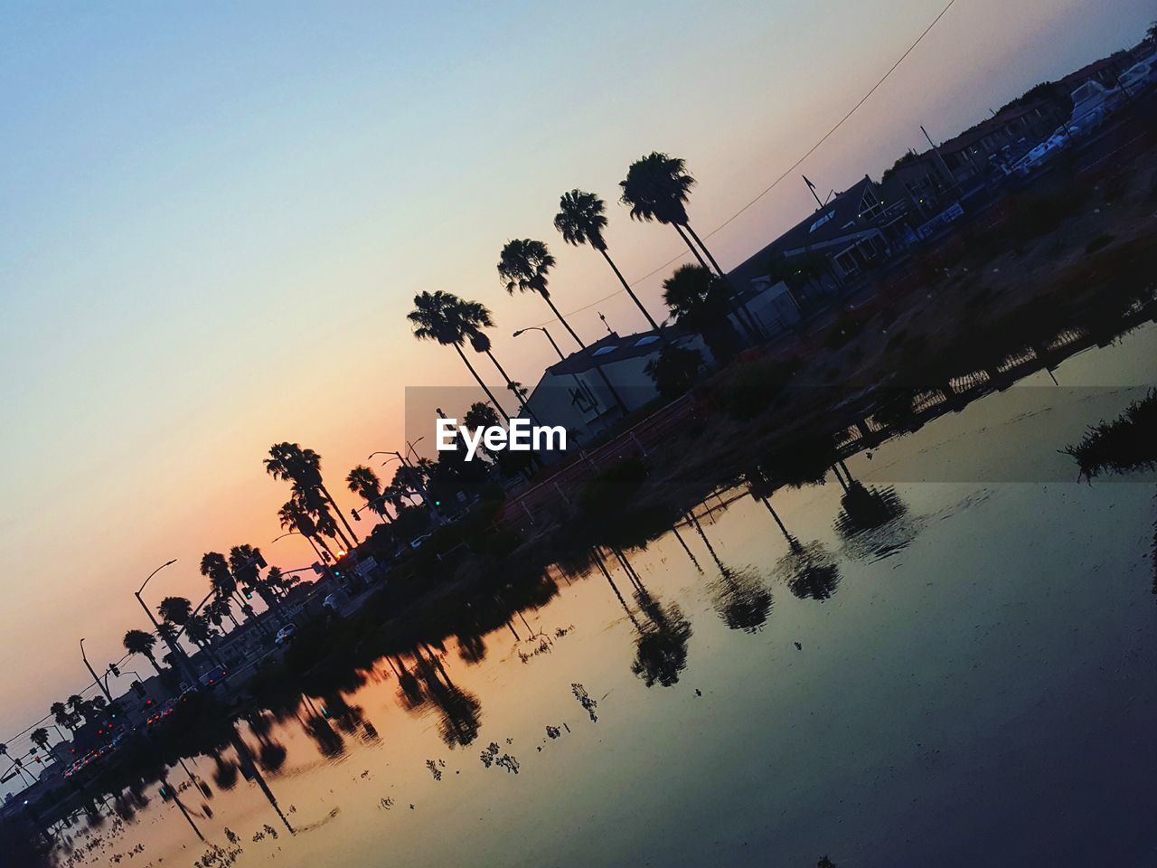 LOW ANGLE VIEW OF PALM TREES AT SUNSET