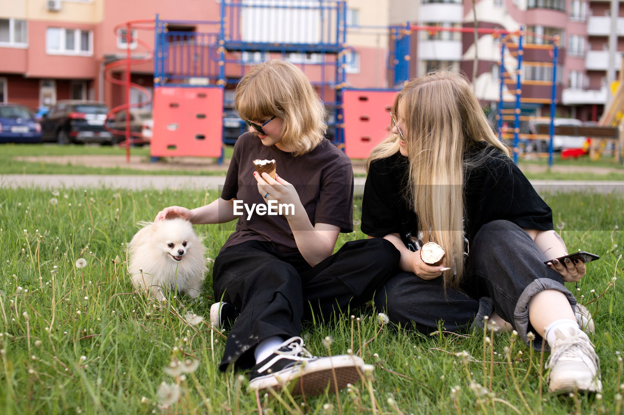 Pomeranian, white dog, two girls, eating ice cream, sitting on the grass, sunglasses, petting a dog