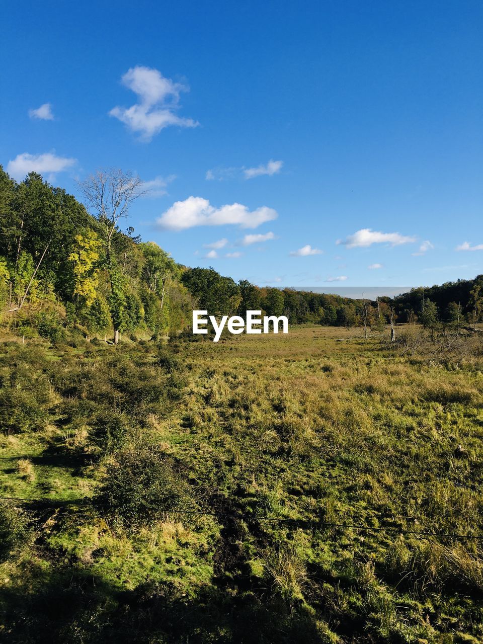 SCENIC VIEW OF LAND