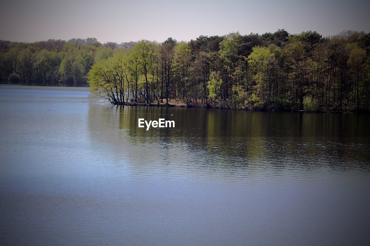 SCENIC VIEW OF LAKE BY TREES AGAINST SKY