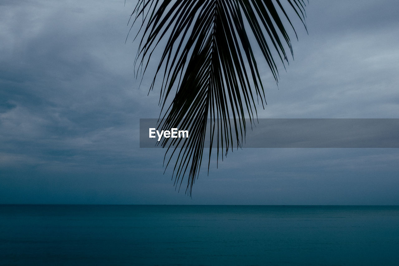 SCENIC VIEW OF SEA AGAINST SKY AT BEACH