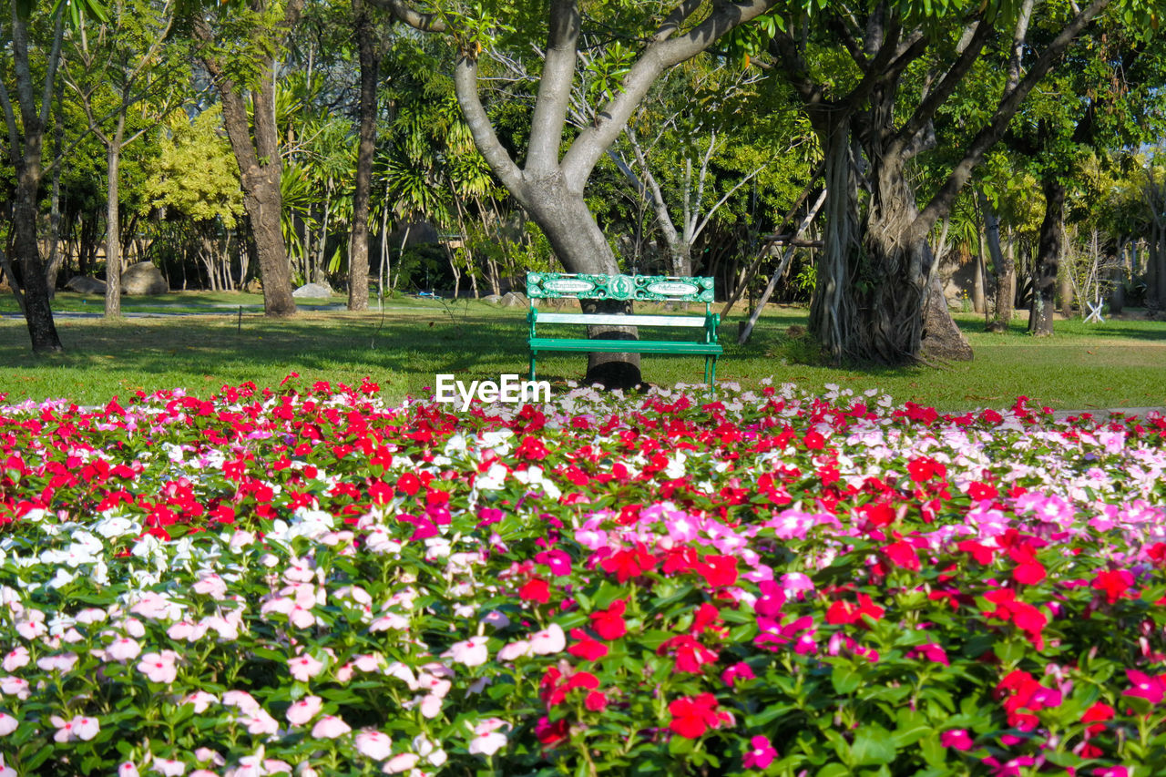 View of park bench