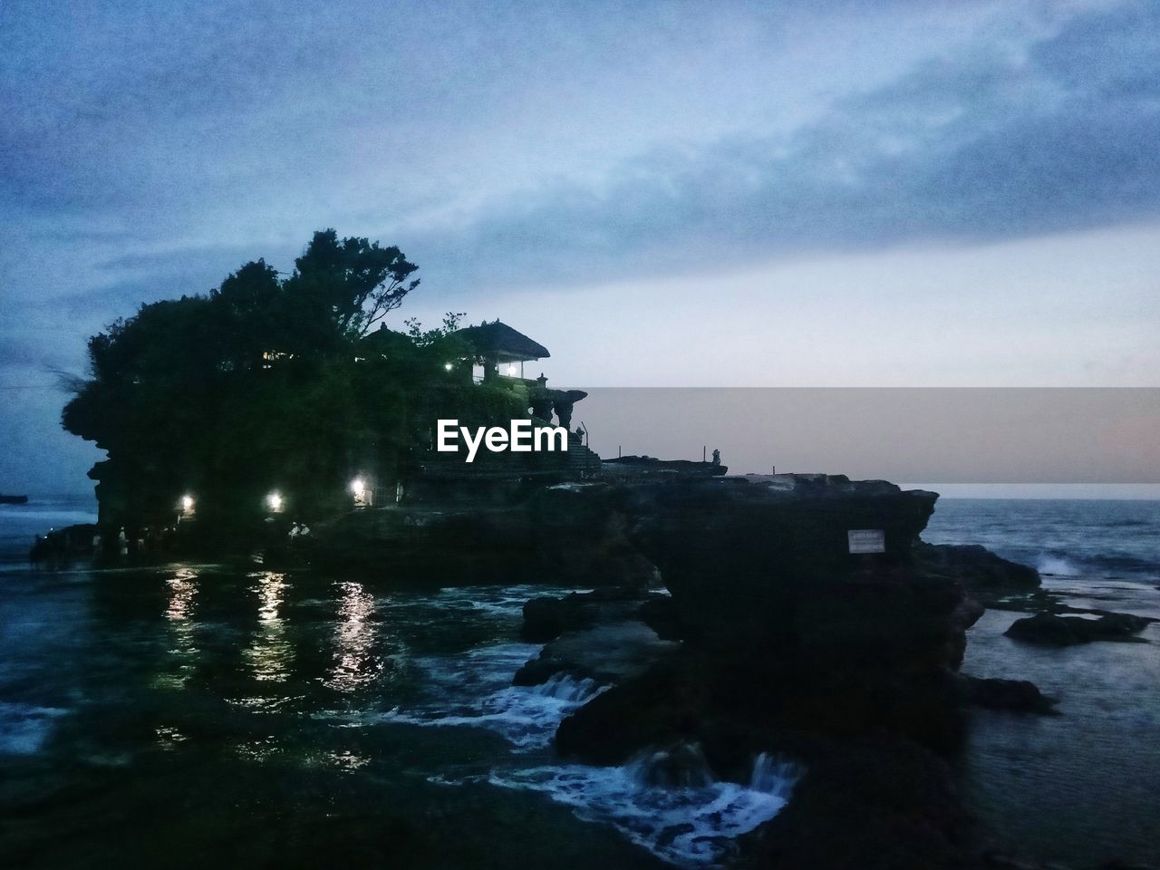 TREES BY SEA AGAINST SKY