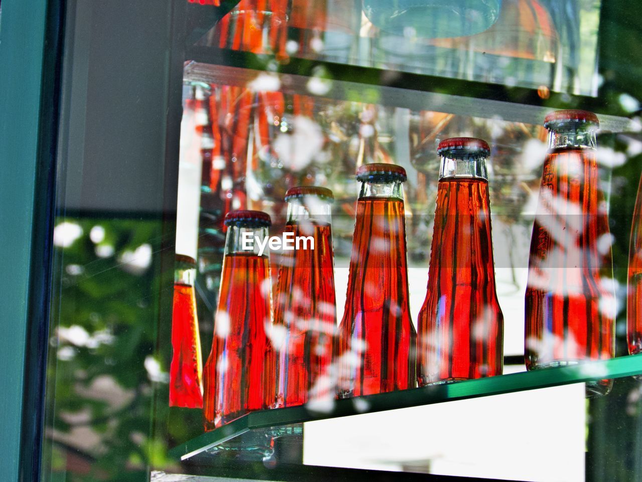 Close-up of red wine bottles on table