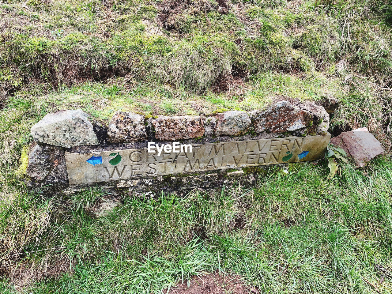 HIGH ANGLE VIEW OF TEXT ON TREE TRUNK