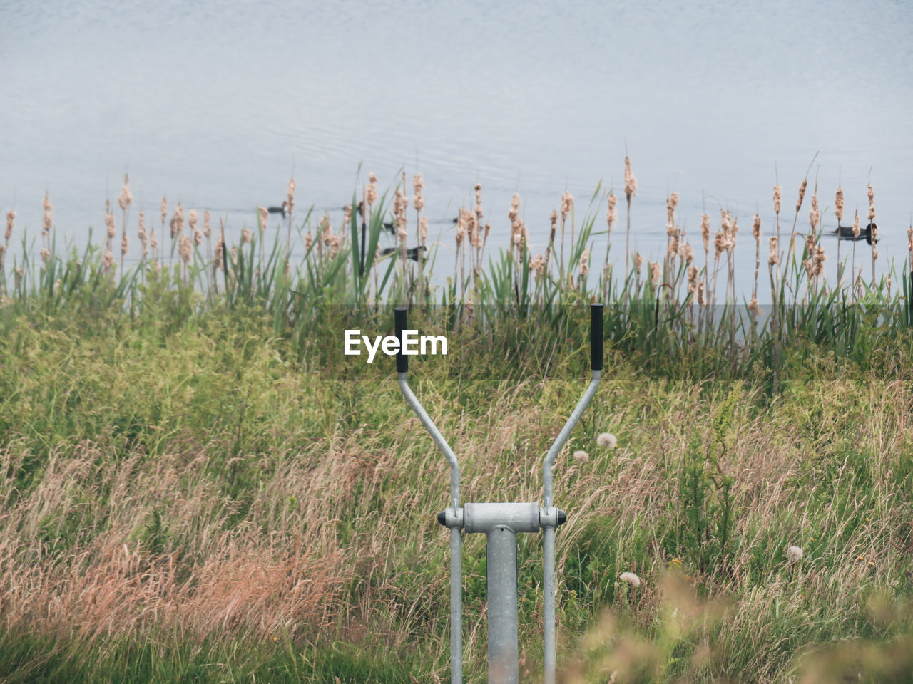 WOODEN POSTS ON FIELD BY LAKE