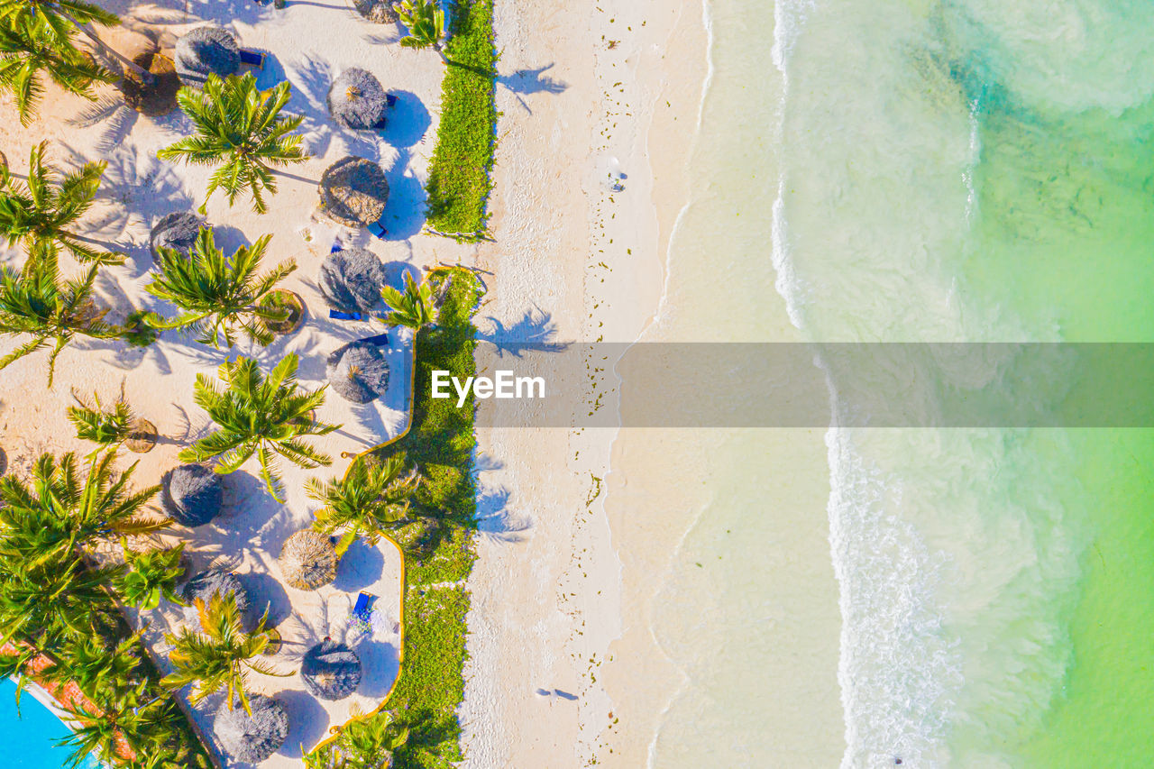 Aerial view of palms on the sandy beach of indian ocean at sunny day. summer holiday in zanzibar, 