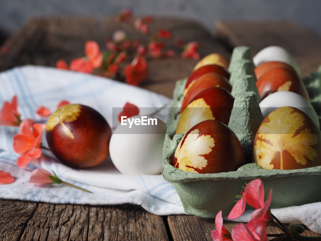 Easter eggs painted with onion peels in a container for eggs on a background with pink pelargonium .