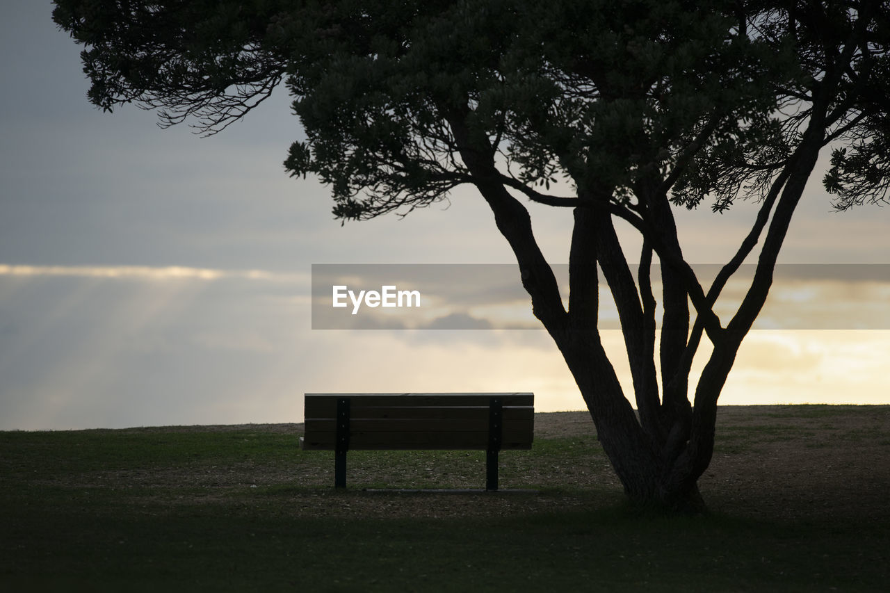 BENCH IN PARK DURING SUNSET