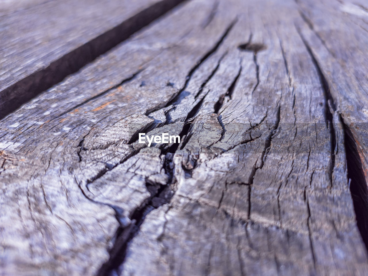 wood, textured, cracked, tree, branch, close-up, backgrounds, full frame, no people, trunk, leaf, soil, rough, bark, pattern, tree stump, selective focus, day, nature, tree trunk, outdoors, weathered, plant, plank, wood grain, timber, damaged, brown, tree ring