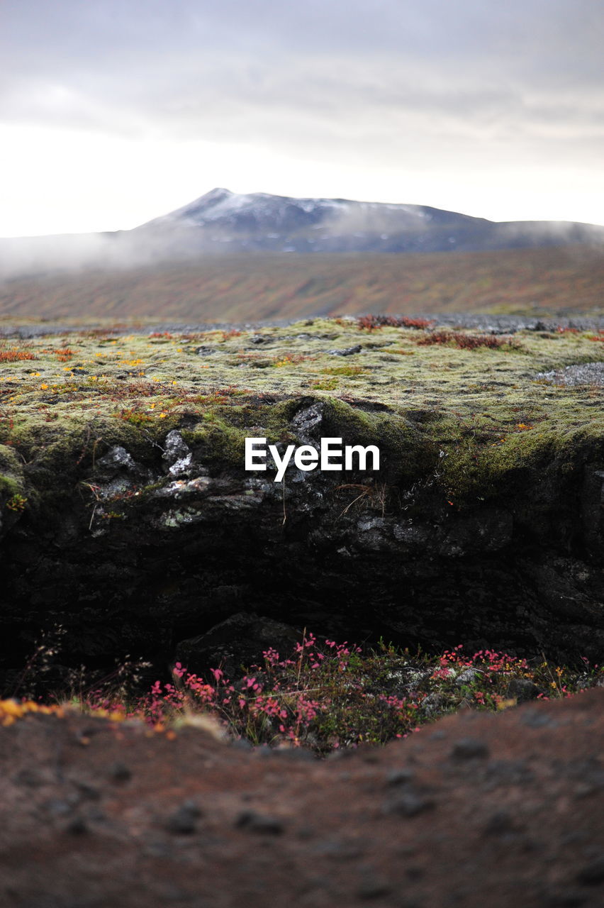 Scenic view of landscape and mountains