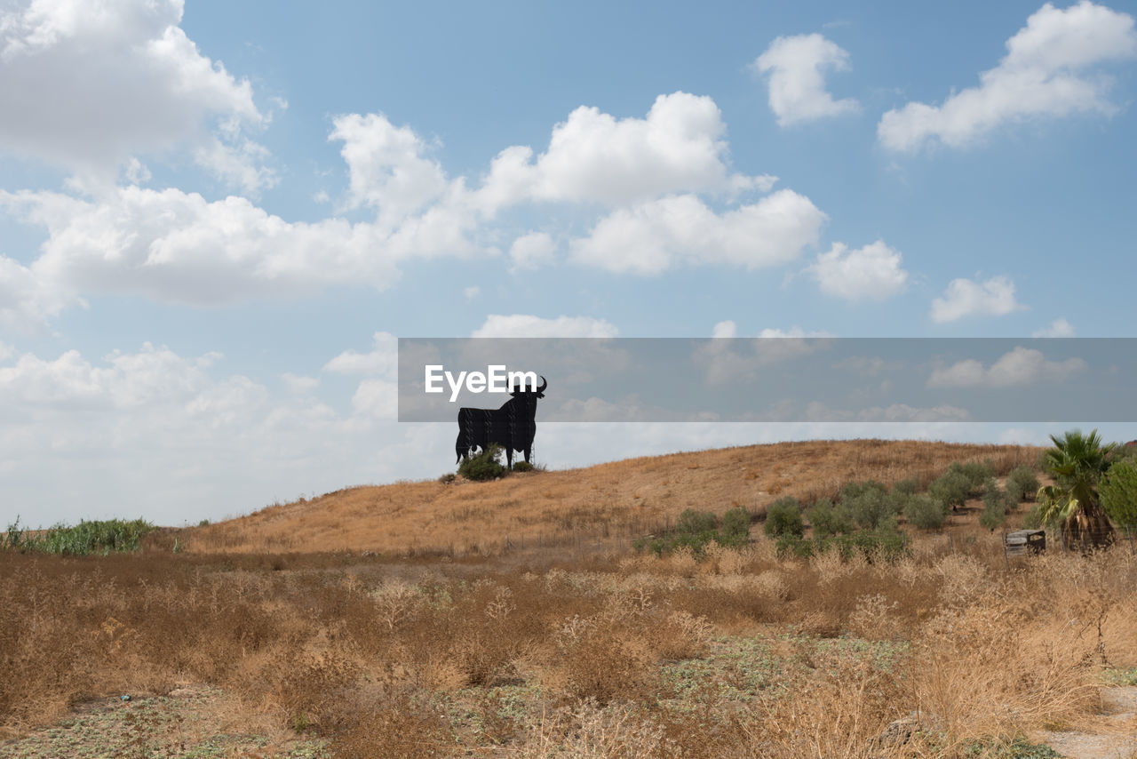 Horse on field against sky