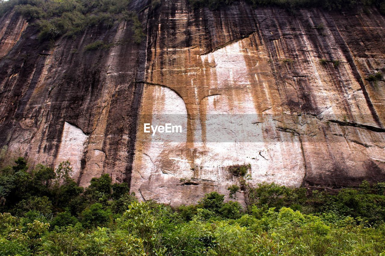 LOW ANGLE VIEW OF ROCK FORMATION ON TREE TRUNK