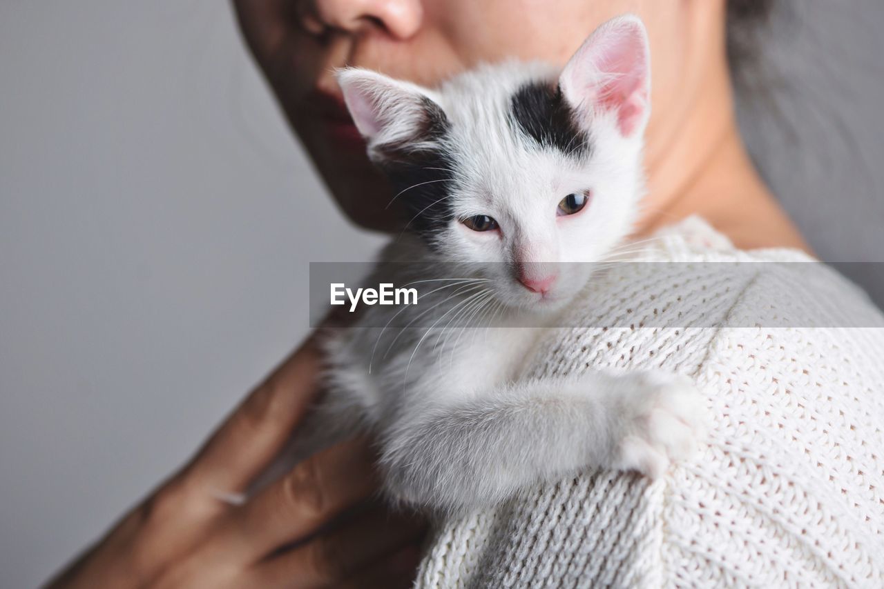 Close-up of woman holding kitten