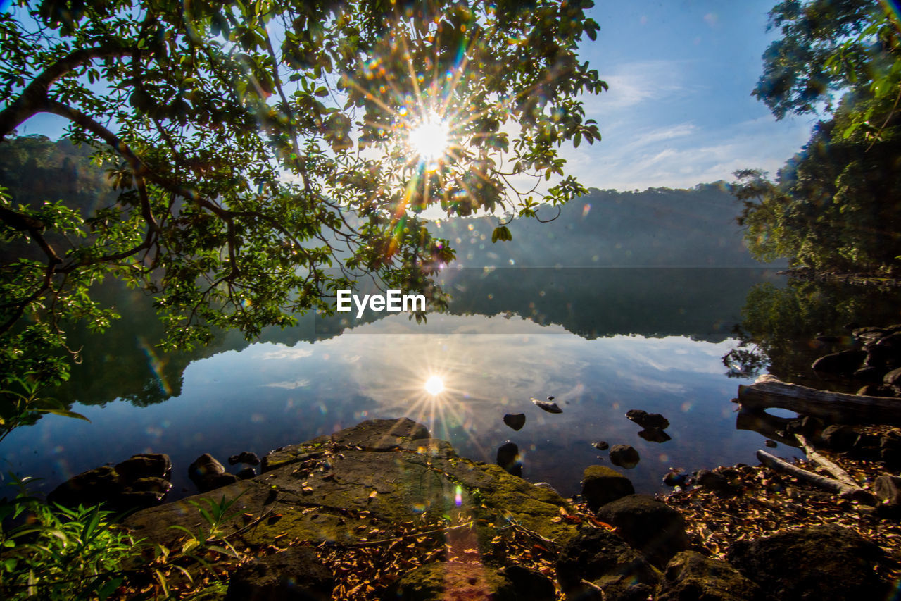 Sun streaming through trees by lake against sky on sunny day