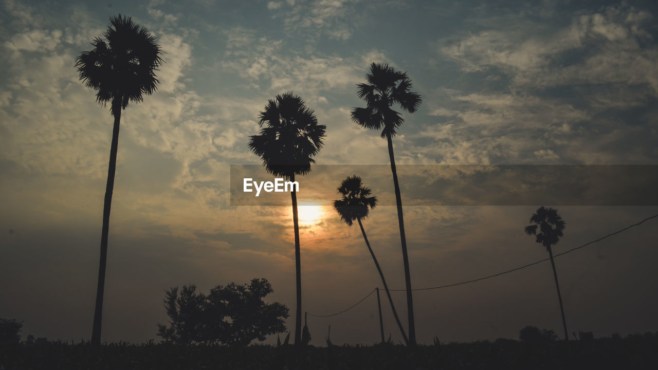 Low angle view of silhouette trees against sky during sunset.