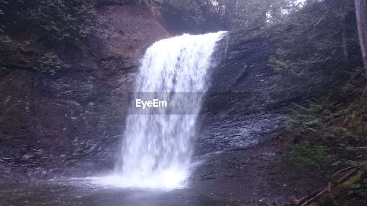 WATERFALL IN FOREST