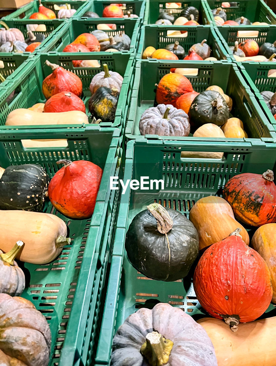 food and drink, food, vegetable, freshness, healthy eating, pumpkin, wellbeing, variation, retail, market, large group of objects, abundance, produce, no people, for sale, fruit, squash, high angle view, market stall, still life, multi colored, container, business, orange color, organic, day, gourd, arrangement, business finance and industry, onion, squash - vegetable, tomato, city, outdoors