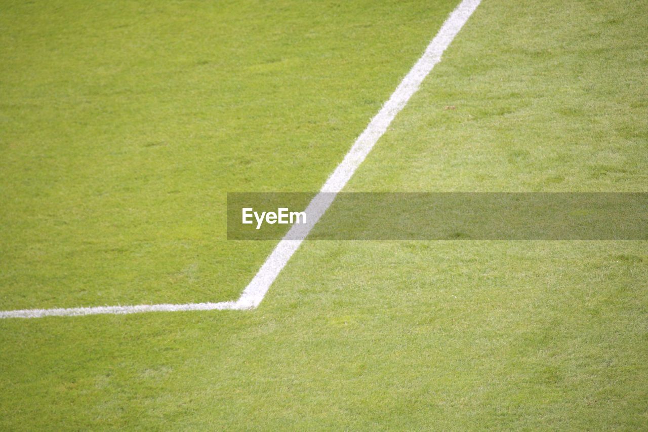 Full frame shot of green grass on soccer field 