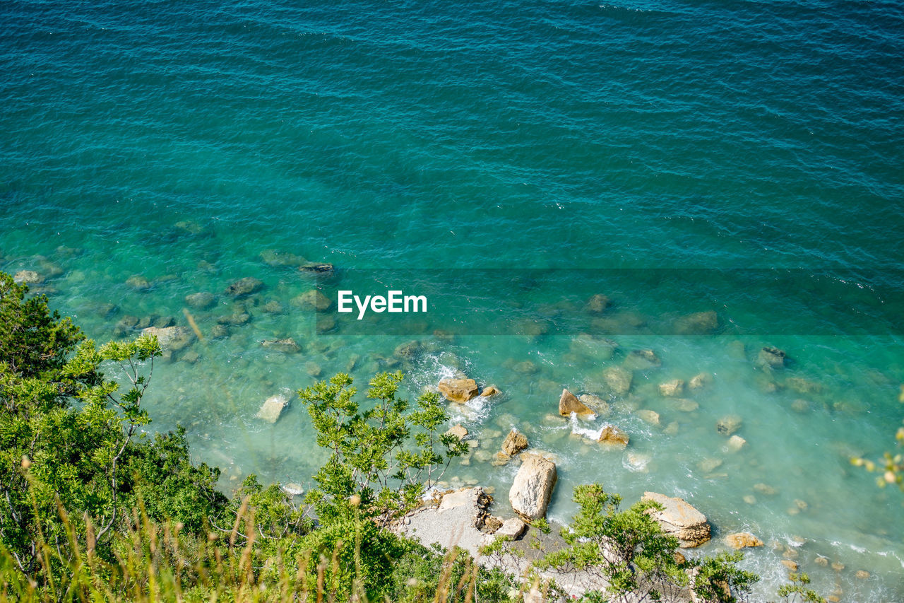 High angle view of trees by sea