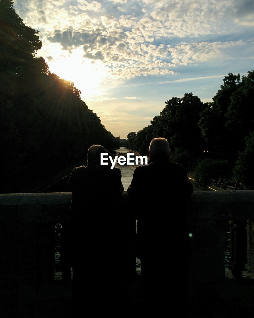 SILHOUETTE OF TREES AT SUNSET
