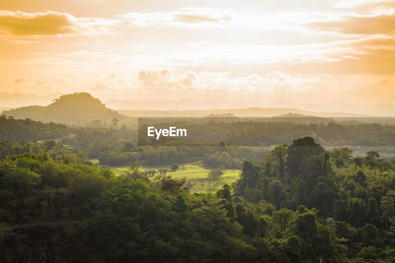 Scenic view of forest against sky during sunset