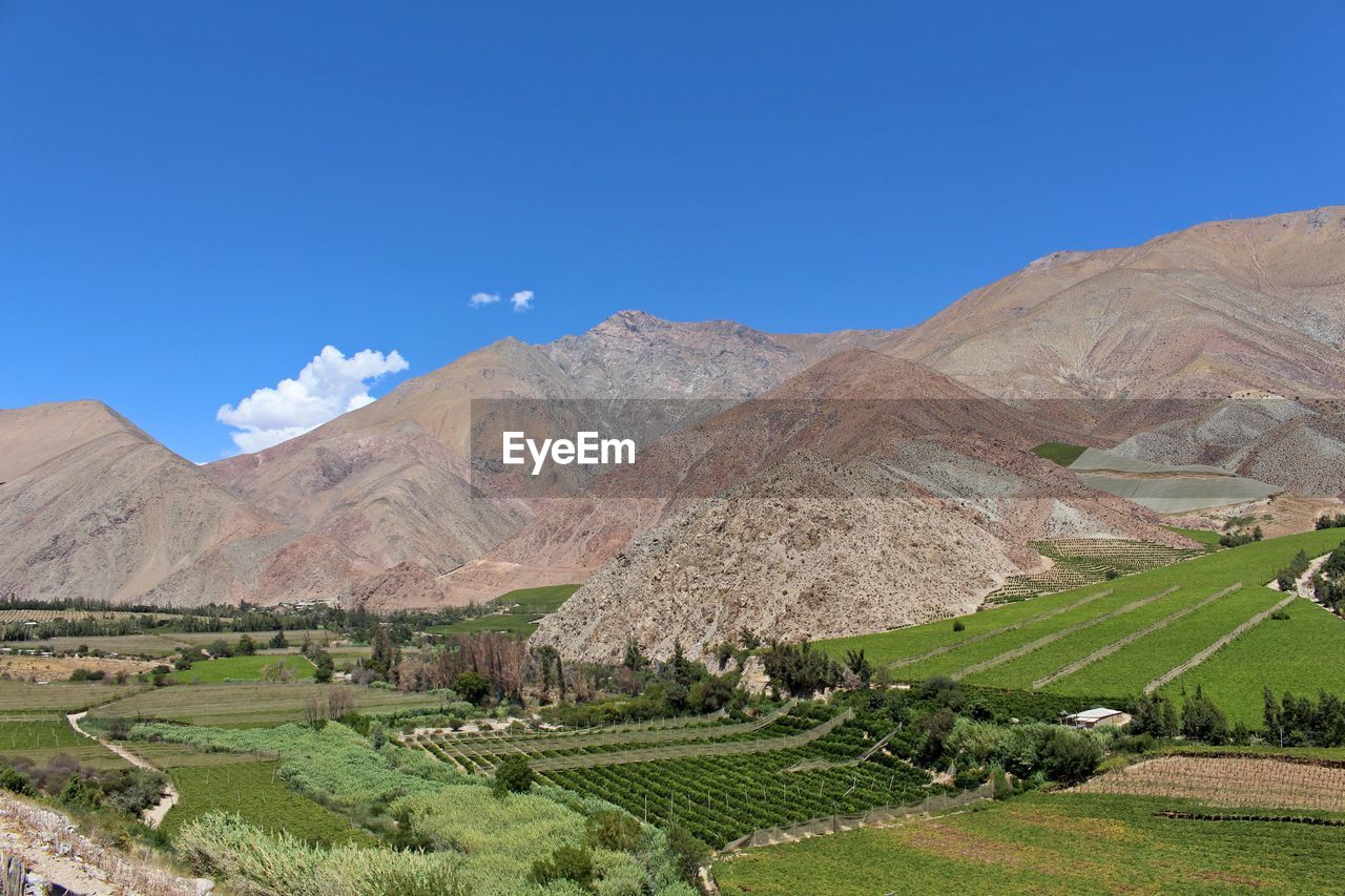 SCENIC VIEW OF FIELD AND MOUNTAINS AGAINST BLUE SKY