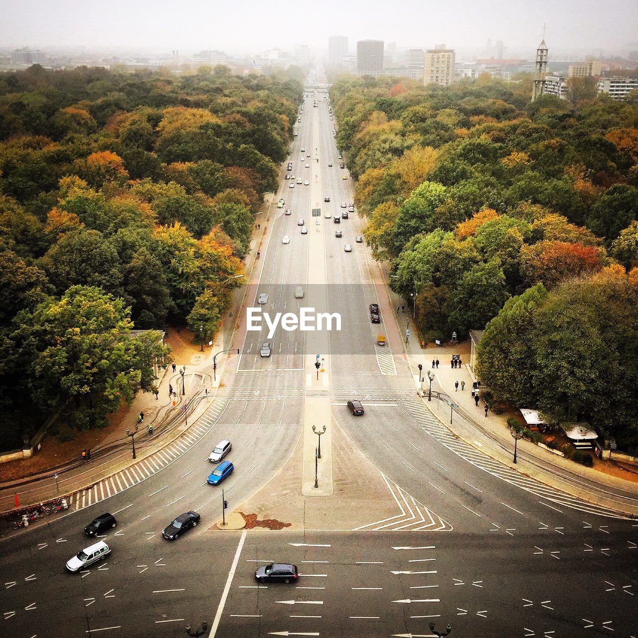 High angle view of road amidst trees seen from victory column