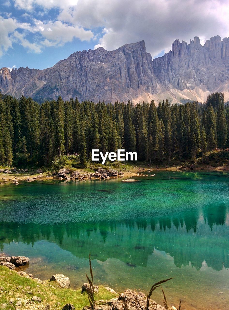 Scenic view of lake by trees against sky