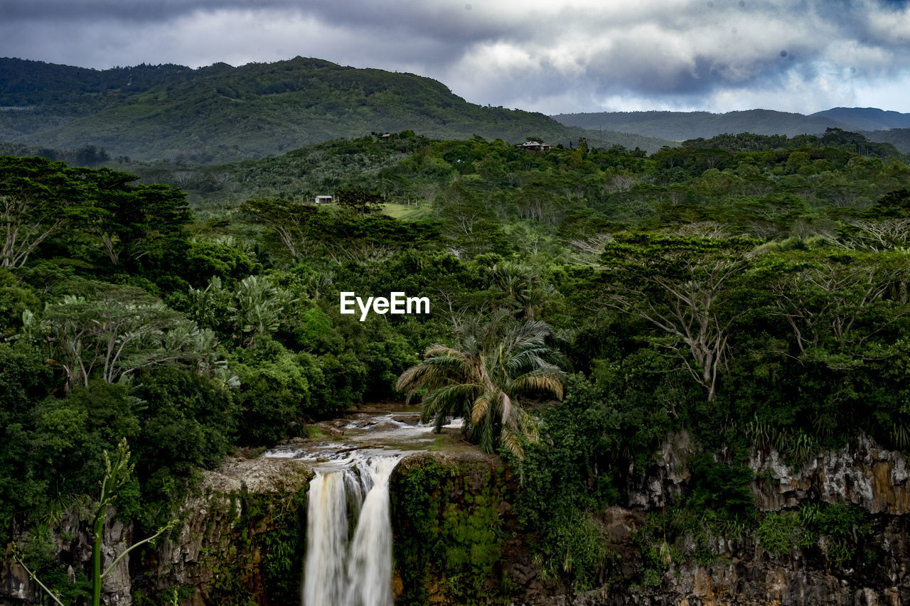 SCENIC VIEW OF WATERFALL