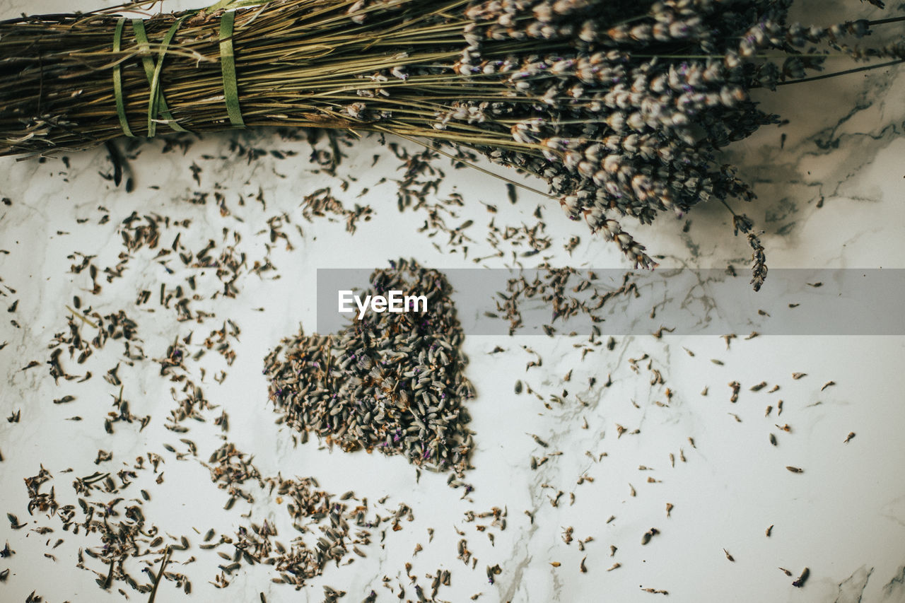 High angle view of dried flowers on table